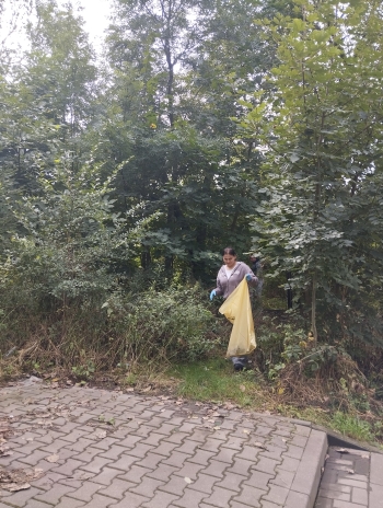 1758223817217