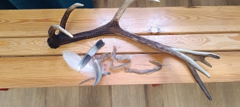 582113493_829186493258218_2919476528230505842_n