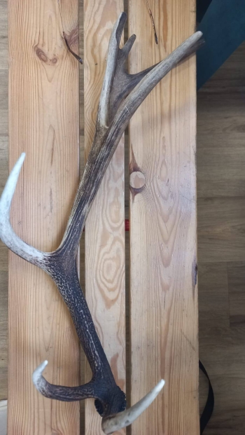 581939508_829185439924990_2286432791801044055_n