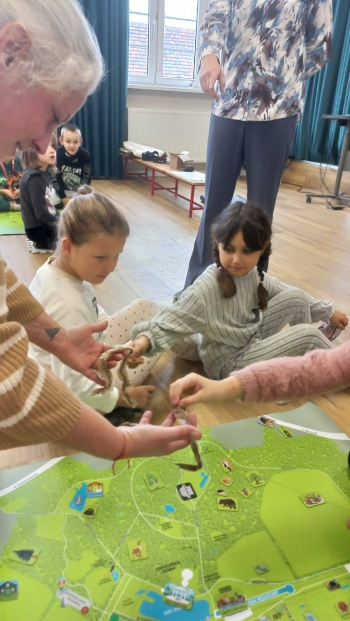 584183136_829185273258340_8282266612505377051_n