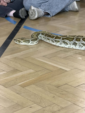 659641169_935168349326698_5891339043152511273_n