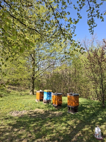 683582022_958319650344901_5201164021139743910_n