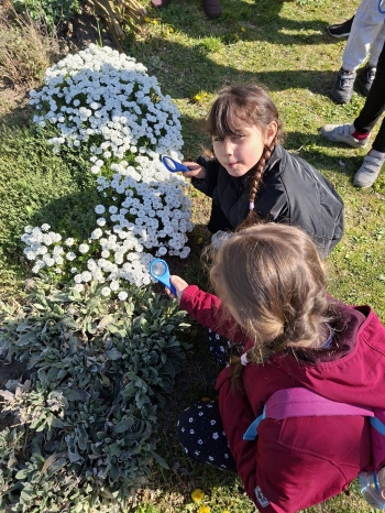 680696174_958319333678266_1884632928510447240_n