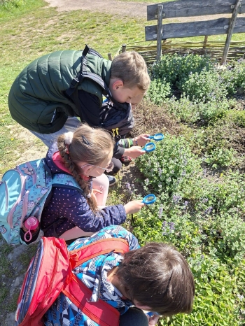 683141939_958319193678280_7098079909059264464_n