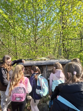 681197171_958319120344954_8792983442293830301_n