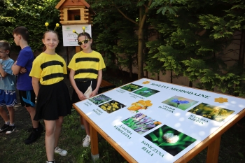 Pracownia pod chmurką 2026 29